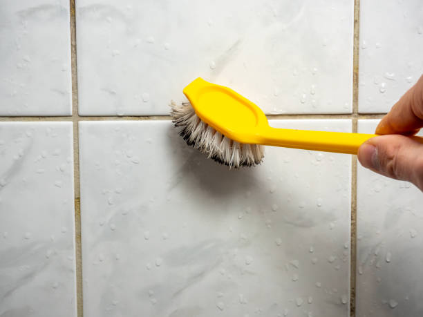 Best Residential Mold Removal  in Pasadena, MD