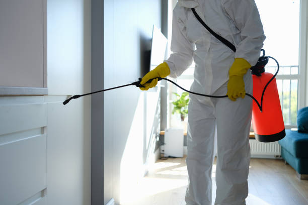 Mold Testing and Removal in Pasadena, MD