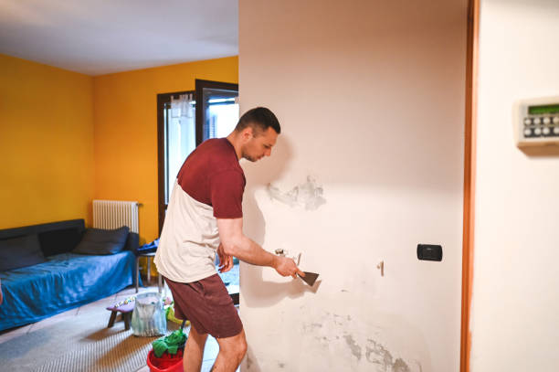 Best Mold Damage Repair  in Pasadena, MD